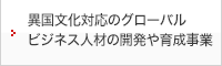 異国文化対応のグローバルビジネス人材の開発や育成事業